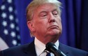 Những biểu cảm và câu nói “khó đỡ” của Donald Trump